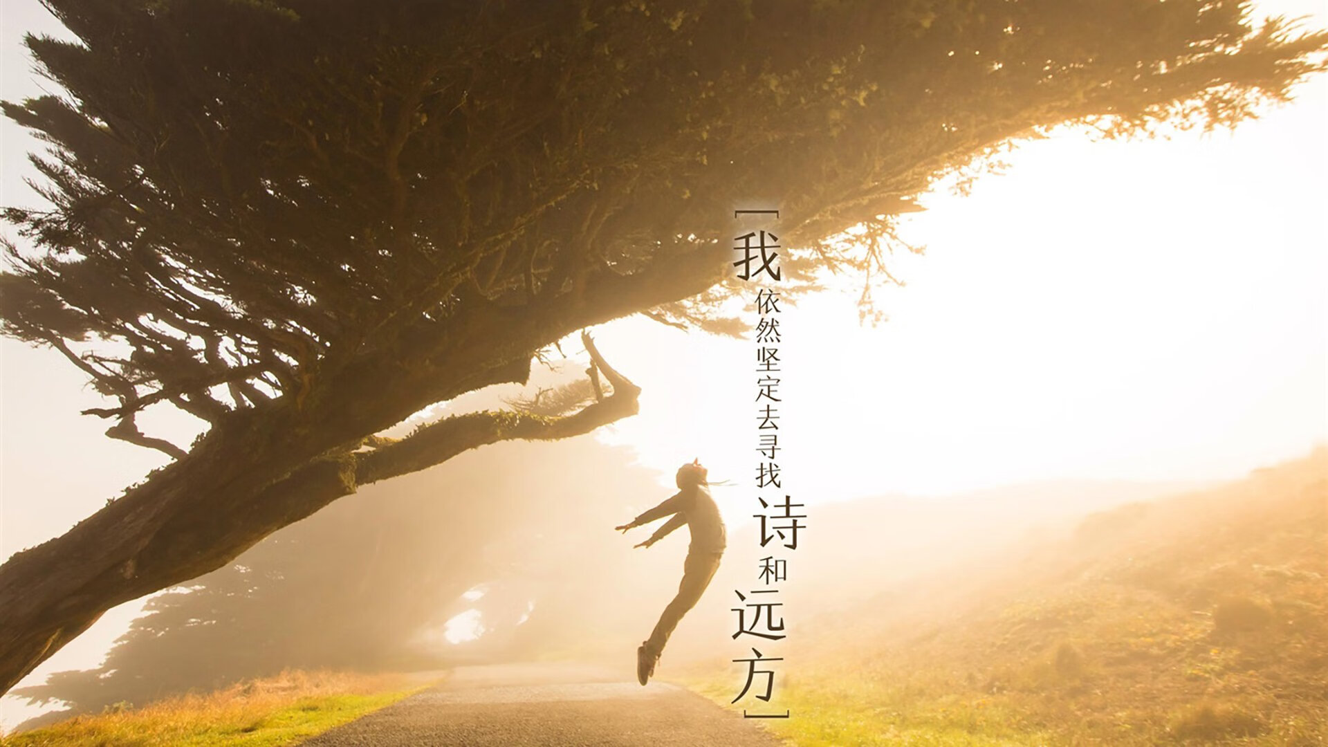 皇家社会全队备战，艰苦奋斗迎接挑战，皇家社会队服