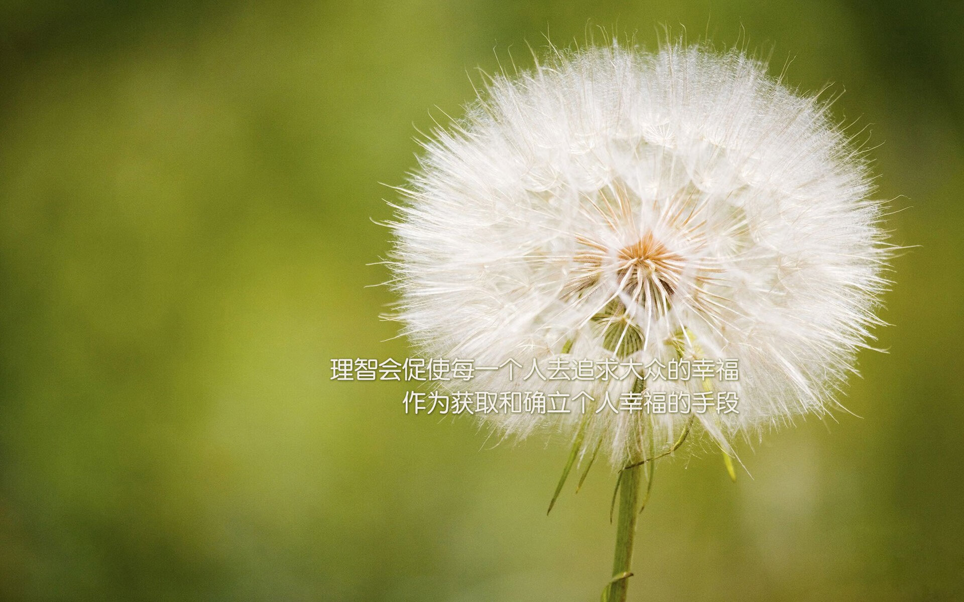 全国青少年篮球训练营开营，全国青少年篮球学校