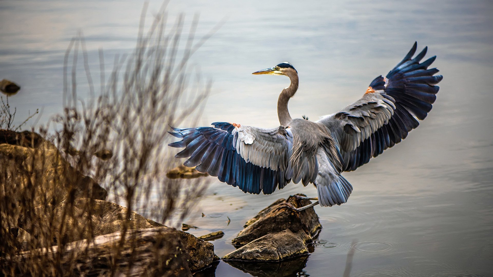 世俱杯直播在线观看免费-梅尔滕斯精准控速 打出战术泳范本，梅尔滕斯男友