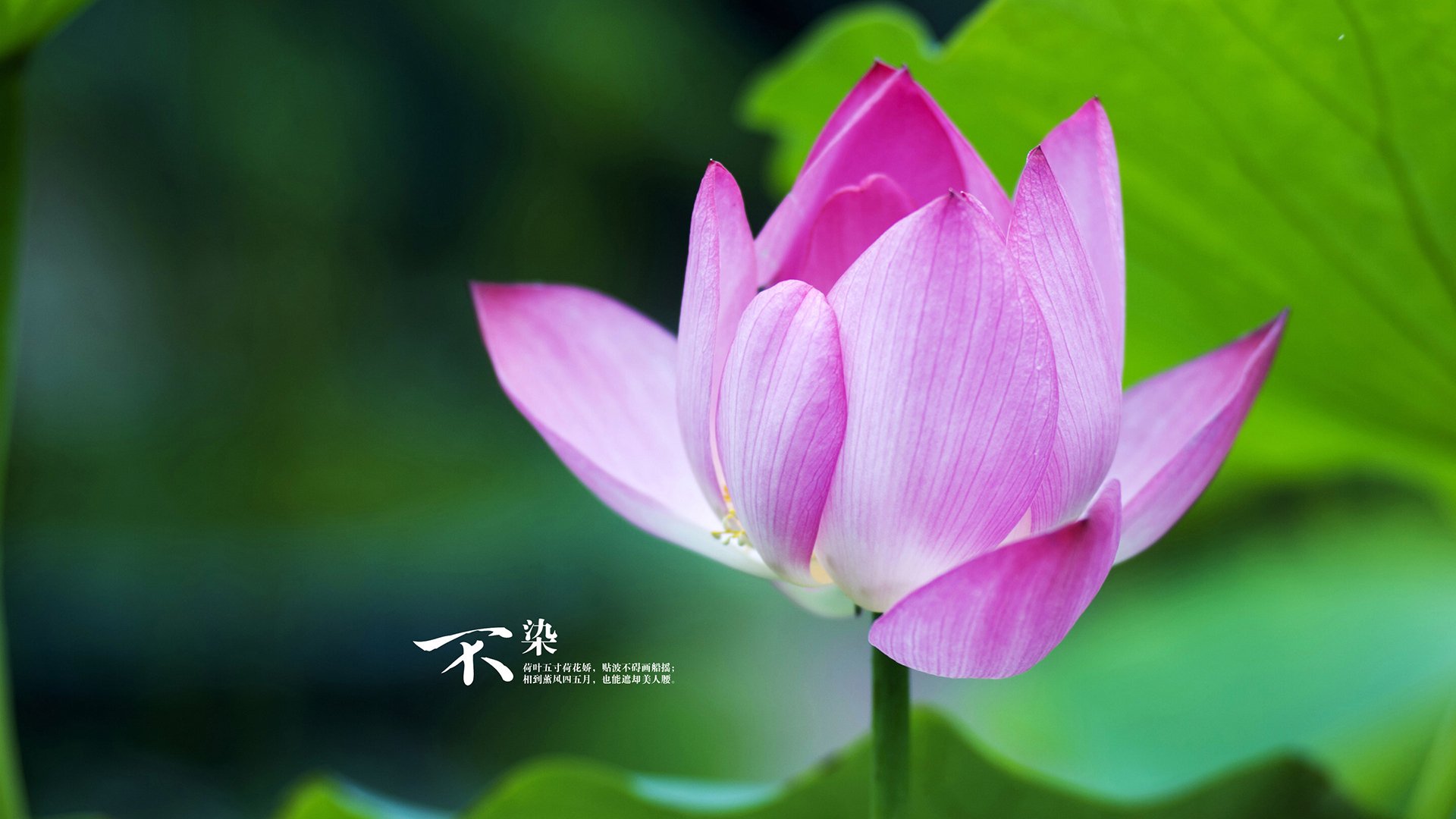 雷霆发布球员成长纪录片展现赛场内外瞬间,雷霆球员2020